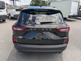 New 2025 Ford Escape ST-Line w/ Tech Pack #1 image 5