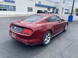 Used 2016 Ford Mustang Coupe image 5