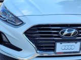 Used 2019 Hyundai Sonata SE w/ Winter Weather Package image 3
