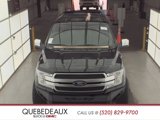 Used 2018 Ford F150 Platinum w/ Equipment Group 701A Luxury image 2