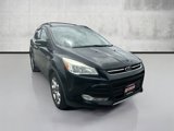 Used 2013 Ford Escape SEL image 3