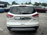 Used 2014 Ford Escape Titanium image 4