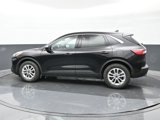 Used 2020 Ford Escape SE image 5