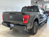Used 2023 Ford F150 XLT image 4