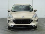 Used 2020 Ford Escape SE image 2