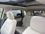 Certified 2021 Cadillac XT5 Premium Luxury image 2