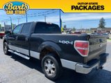 Used 2011 Ford F150 XLT w/ XLT Convenience Pkg image 4