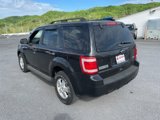 Used 2011 Ford Escape XLT w/ 201A Rapid Spec Order Code image 6