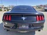 Used 2015 Ford Mustang Coupe image 6