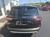Used 2024 Ford Escape Active image 5
