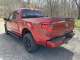 New 2025 Ford F150 XLT w/ Equipment Group 301A Standard image 5