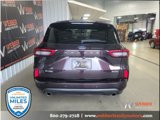 Used 2023 Ford Escape ST-Line w/ Tech Pack #1 image 5
