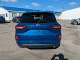 Used 2023 Ford Escape ST-Line Elite w/ Premium Technology Package image 4
