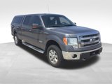 Used 2013 Ford F150 XLT w/ Luxury Equipment Group image 2