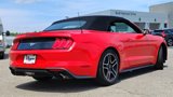 Used 2022 Ford Mustang Premium image 5
