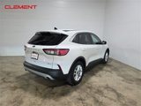 Used 2020 Ford Escape SE image 6