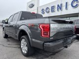 Used 2017 Ford F150 Platinum w/ Equipment Group 701A Luxury image 3