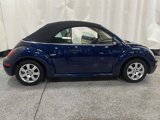 Used 2003 Volkswagen Beetle GLX image 6