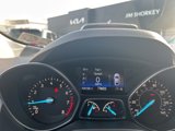 Used 2017 Ford Escape SE w/ SE Cold Weather Package image 4
