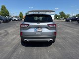 Used 2021 Ford Escape SE image 4