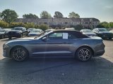 Used 2022 Ford Mustang Premium image 6