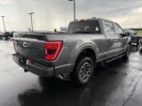 Used 2023 Ford F150 XLT w/ Equipment Group 302A High image 3