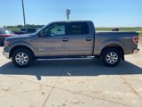 Used 2014 Ford F150 XLT w/ Equipment Group 302A Luxury image 4