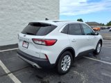 Used 2020 Ford Escape SE image 3