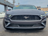 Certified 2019 Ford Mustang Premium w/ Ford Safe & Smart Package image 4