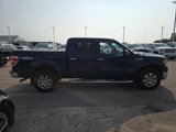 Used 2010 Ford F150 XLT image 6