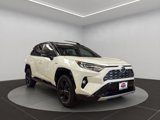 Used 2019 Toyota RAV4 XSE image 3