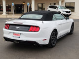 Used 2020 Ford Mustang Premium image 4