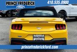 Used 2024 Ford Mustang Premium image 4