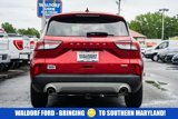 Used 2020 Ford Escape SEL image 5