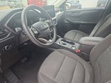 Used 2023 Ford Escape Active w/ Tech Pack #1 image 4