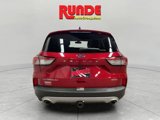 Used 2021 Ford Escape Titanium image 4