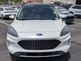 Used 2020 Ford Escape Titanium image 6