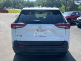 Used 2019 Toyota RAV4 XLE Premium image 4