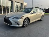 Used 2019 Lexus ES 350 image 2