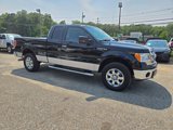 Used 2013 Ford F150 XLT w/ Luxury Equipment Group image 3