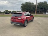 Used 2022 Ford Escape SEL image 4