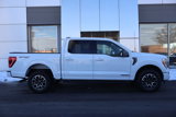 Certified 2023 Ford F150 XLT w/ Equipment Group 302A High image 2