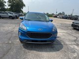 Used 2020 Ford Escape SEL image 4