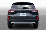 Used 2020 Ford Escape SEL image 4