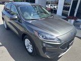 Used 2020 Ford Escape SE image 2