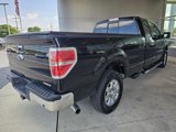 Used 2013 Ford F150 XLT w/ Luxury Equipment Group image 6