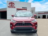 Used 2019 Toyota RAV4 XLE Premium image 2