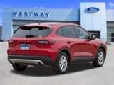 New 2025 Ford Escape Active w/ Tech Pack #1 image 4
