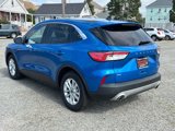 Used 2020 Ford Escape SE image 3