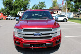 Used 2019 Ford F150 Platinum w/ Equipment Group 701A Luxury image 2